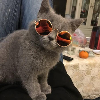 Proizvode za kućne ljubimce Prekrasan Vintage Okrugle Sunčane naočale za mačke, odražavajući oči, naočale za male pse, Mačke, Kućni ljubimci, Fotografija, Rekviziti, Oprema